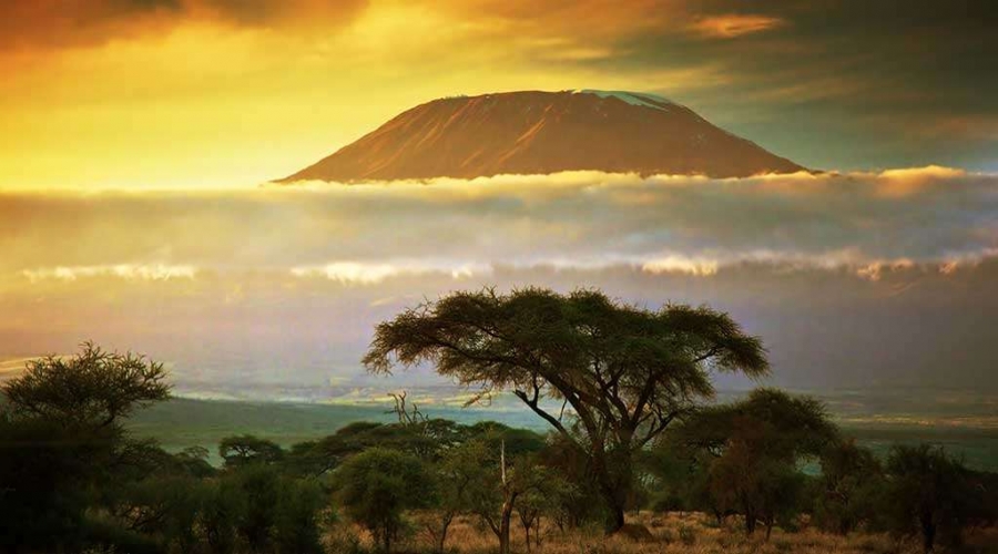 La-Tanzanie--Une-merveille-sauvage.html